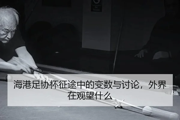 hai-gang-zu-xie-bei-zheng-tu-zhong-de-bian-shu-yu-tao-lun-wai-jie-zai-guan-wang-shen-me-2-591.jpg